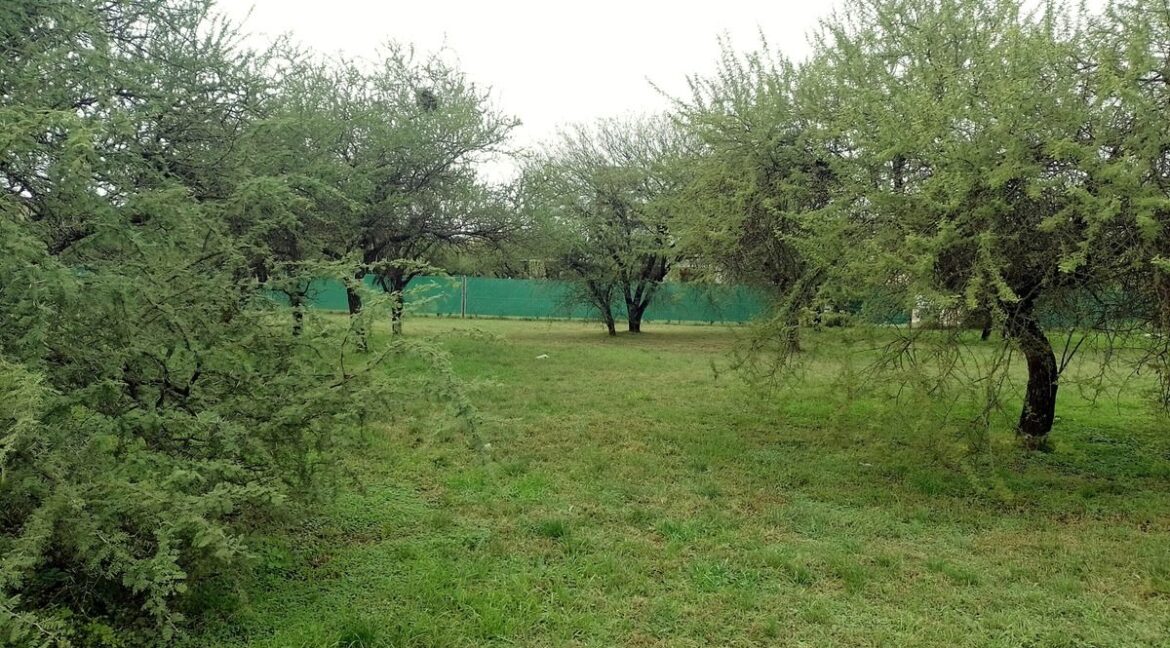 WhatsApp Image 2025-10-15 at 10.50.02