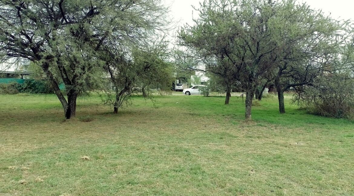 WhatsApp Image 2025-10-15 at 10.50.03