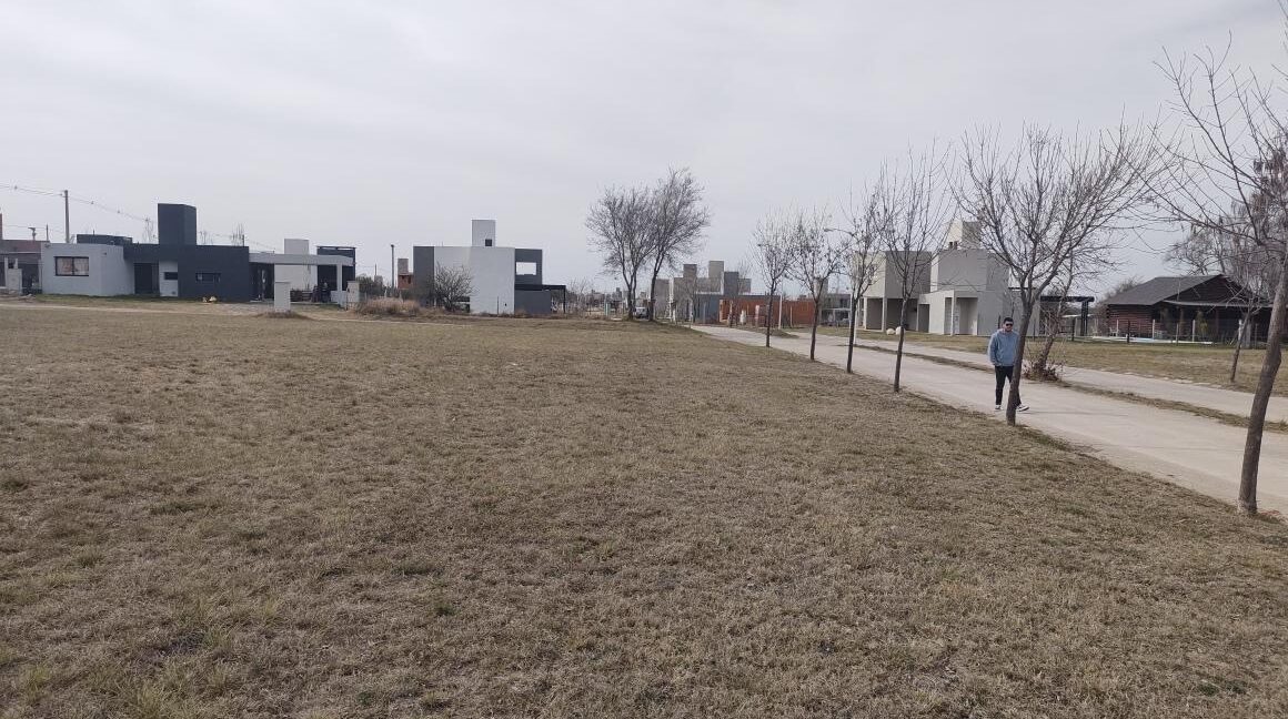 WhatsApp Image 2025-10-16 at 14.23.52 (2)