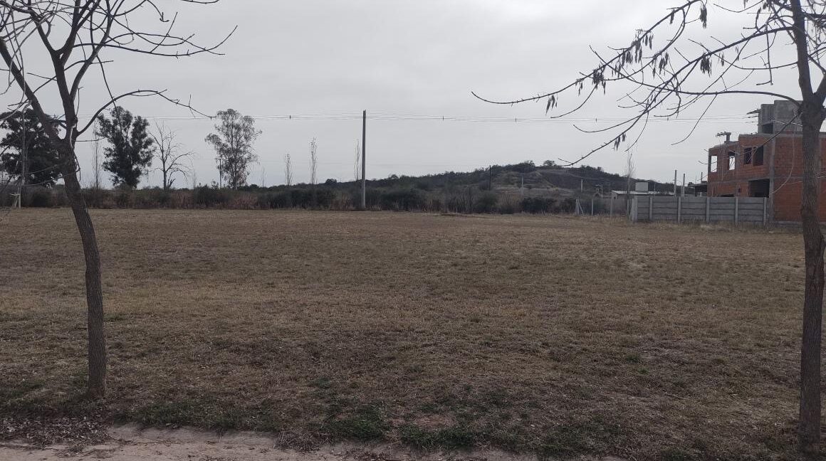 WhatsApp Image 2025-10-16 at 14.23.52 (3)