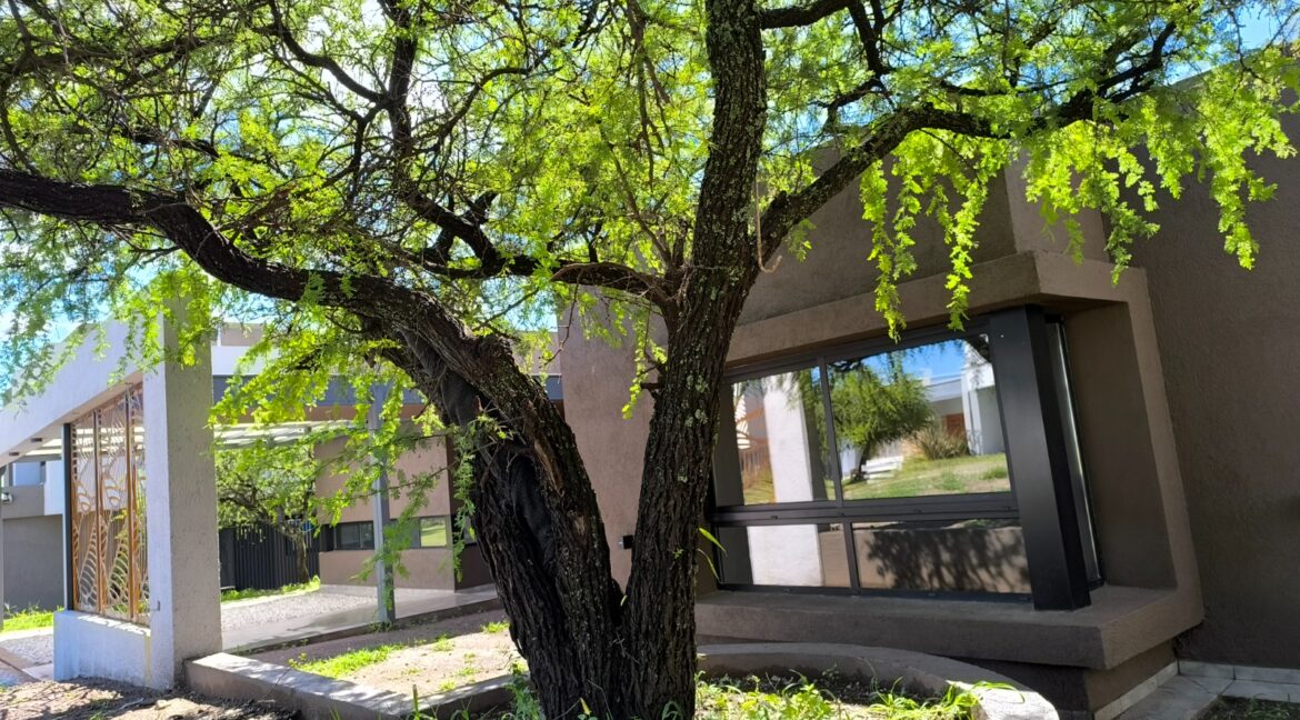 WhatsApp Image 2026-01-12 at 17.30.22 (1)