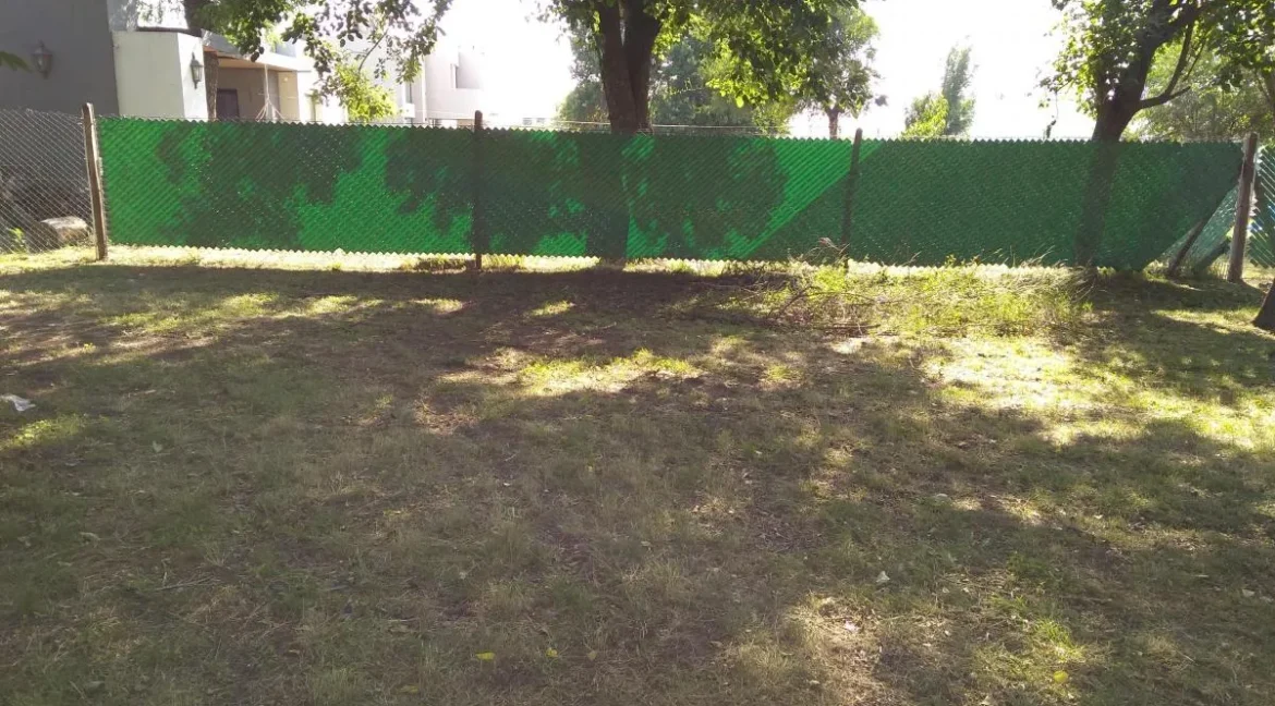 D_NQ_NP_2X_727955-MLA98002031831_112025-F