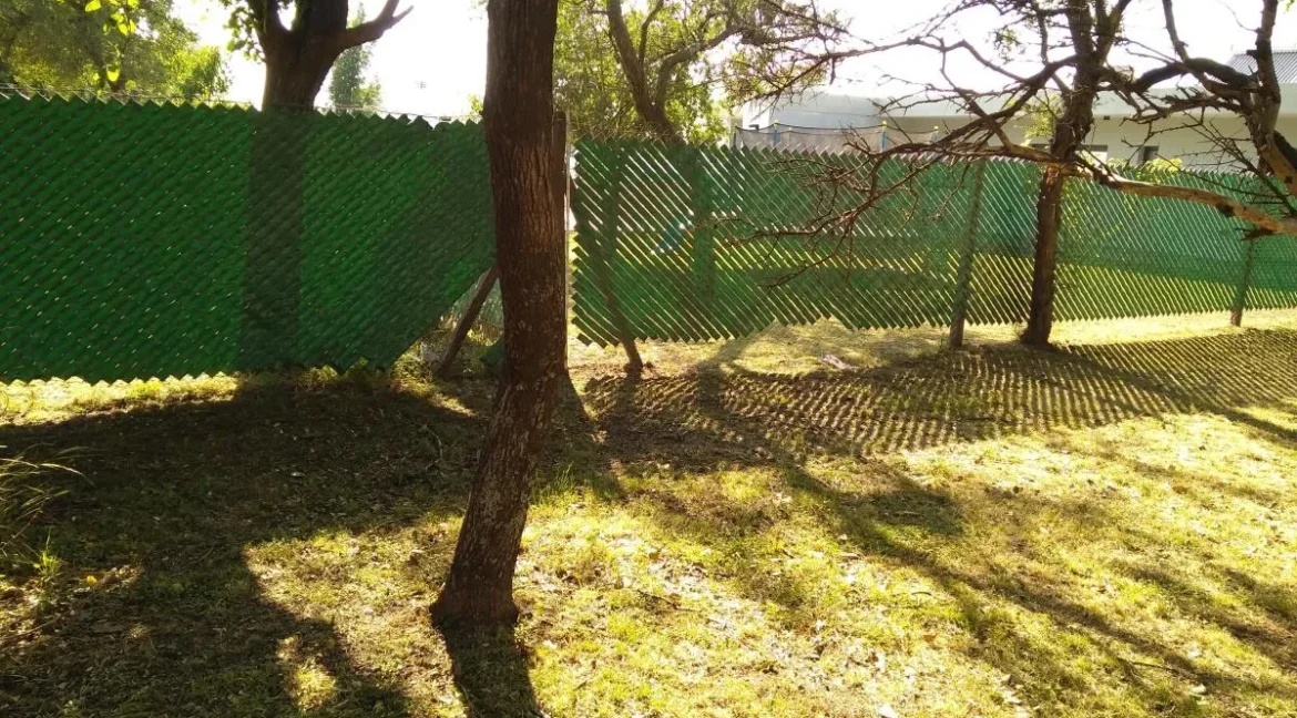 D_NQ_NP_2X_842234-MLA98002211297_112025-F