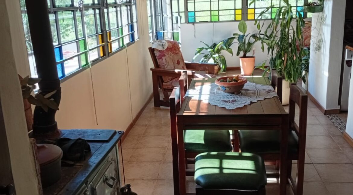 WhatsApp Image 2026-03-22 at 08.41.42 (1)