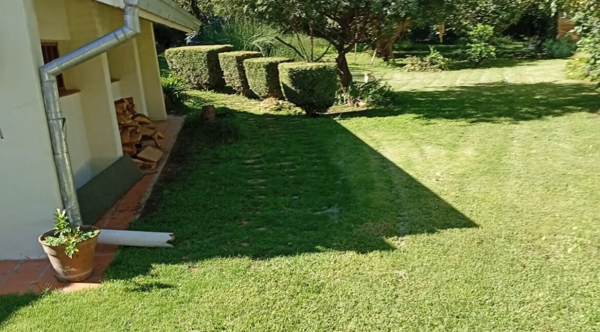 WhatsApp Image 2026-03-22 at 08.41.45 (2)